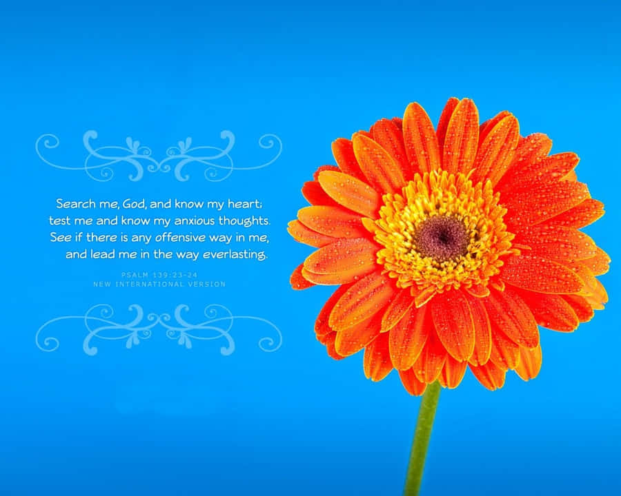 Crosscards Computer: Quality And Affordability In One Wallpaper