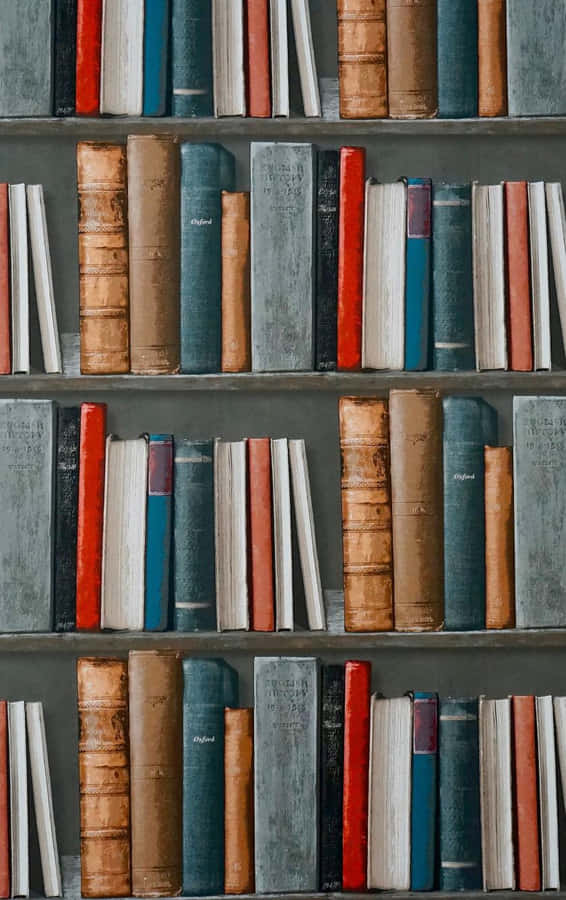 Curling Up With A Good Book On A Rainy Day. Wallpaper