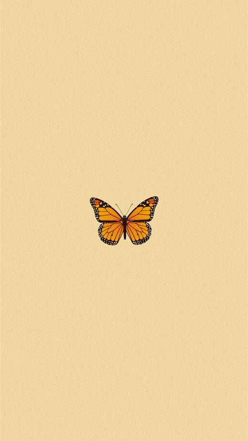 Cute Butterfly Original Iphone 4 Wallpaper