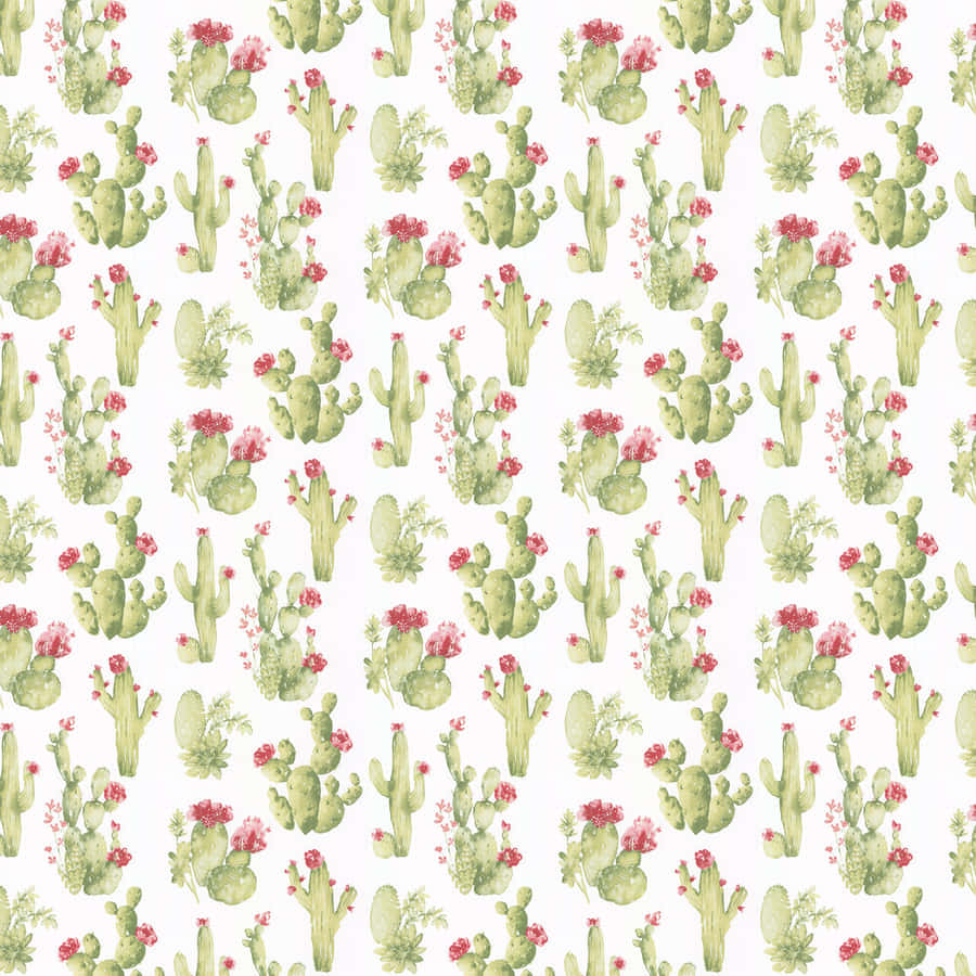Cute Cactus Flower Wallpaper