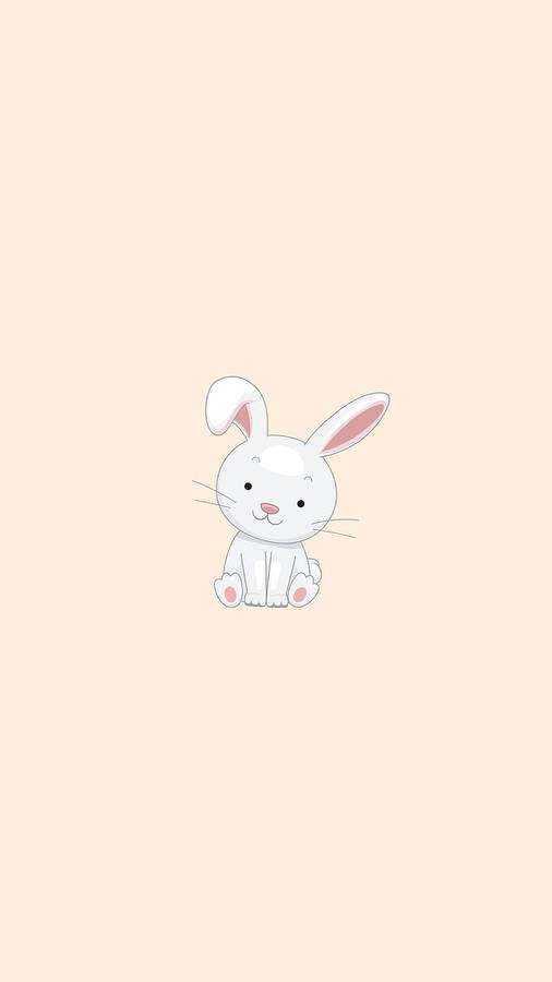 Cute Cartoon Bunny Animal Wallpaper