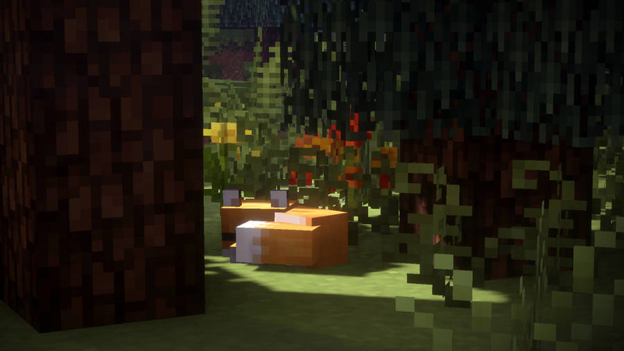 Cute Fox Sleeping 2560x1440 Minecraft Wallpaper