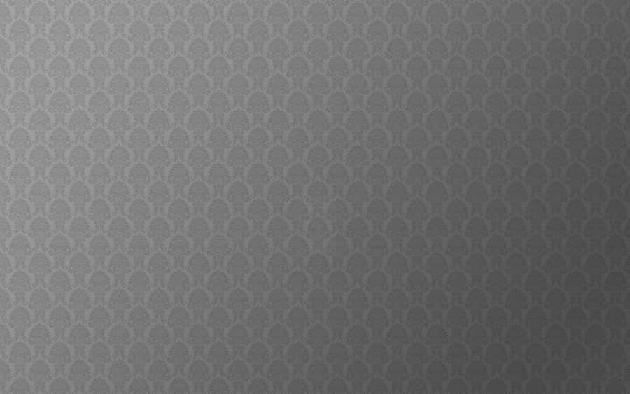 Cute Grey Furball Ready To Take On The Day Wallpaper