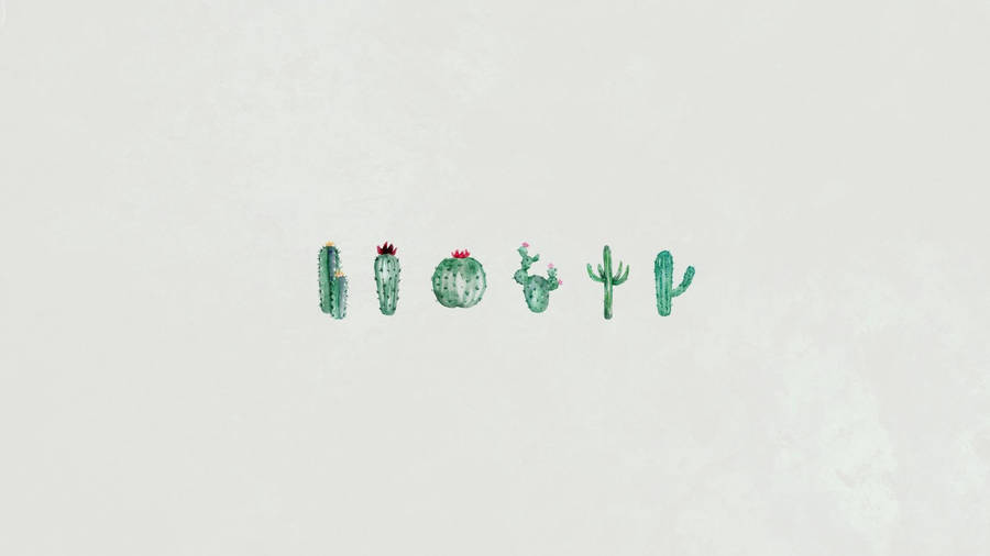 Cute Minimalist Cactus Wallpaper