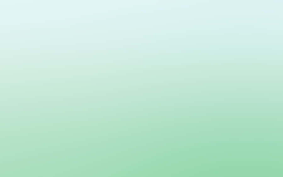Cute Pastel Green Bare Color Wallpaper