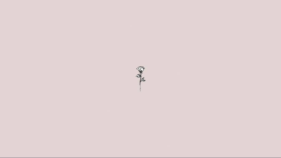 Cute Simple Aesthetic Sketch Rose Desktop Wallpaper