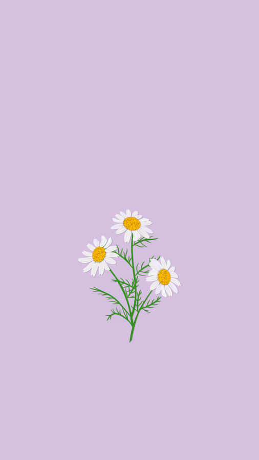Cute Spring Lilac Iphone Wallpaper