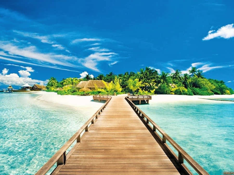 Cute Summer Beach Island Wallpaper