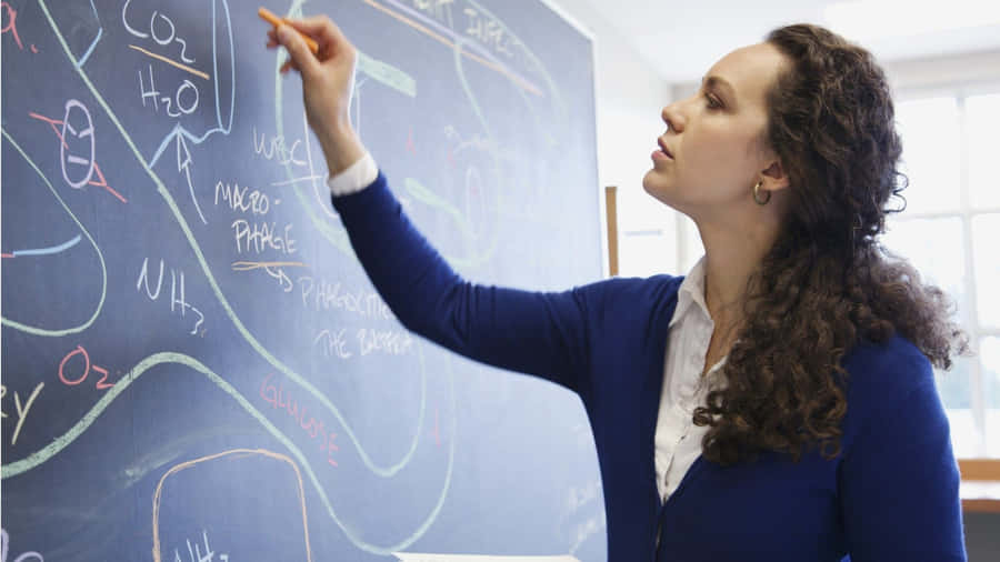 Cute Teacher On Board Wallpaper