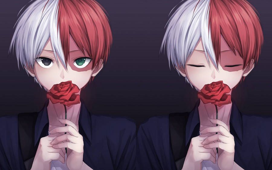 Cute Todoroki Holding Red Rose Wallpaper