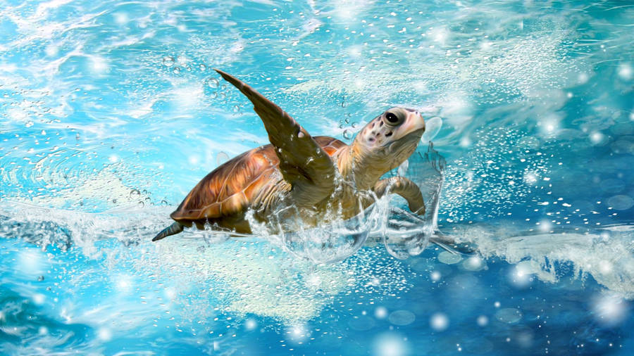 Cute Turtle Swimming In Water Wallpaper