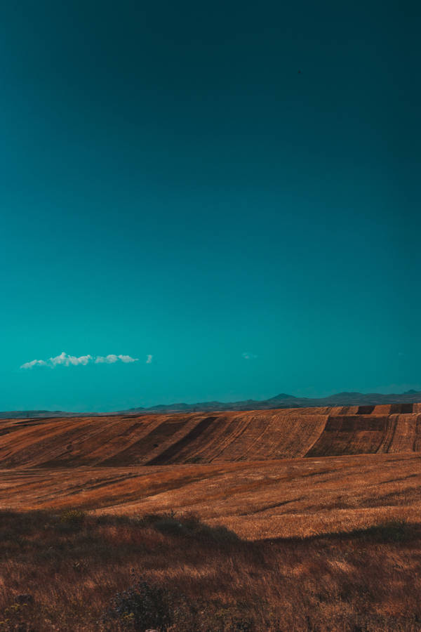 Cyan Sky And Brown Field Wallpaper