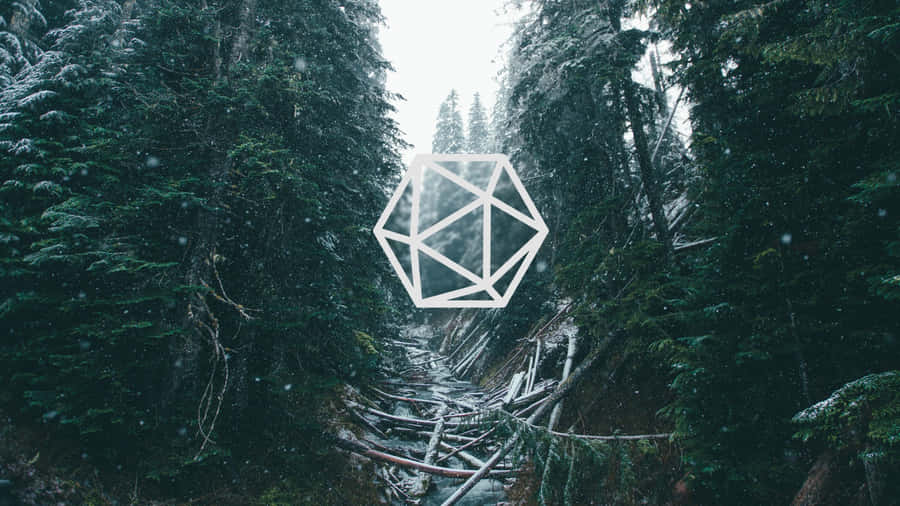 D20 1920 X 1080 Wallpaper