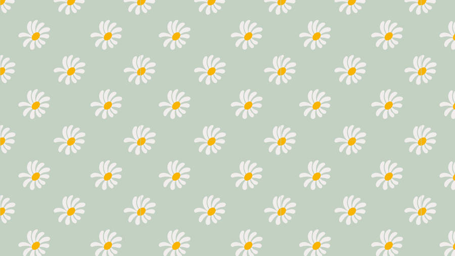 Daisies Sage Green Desktop Wallpaper
