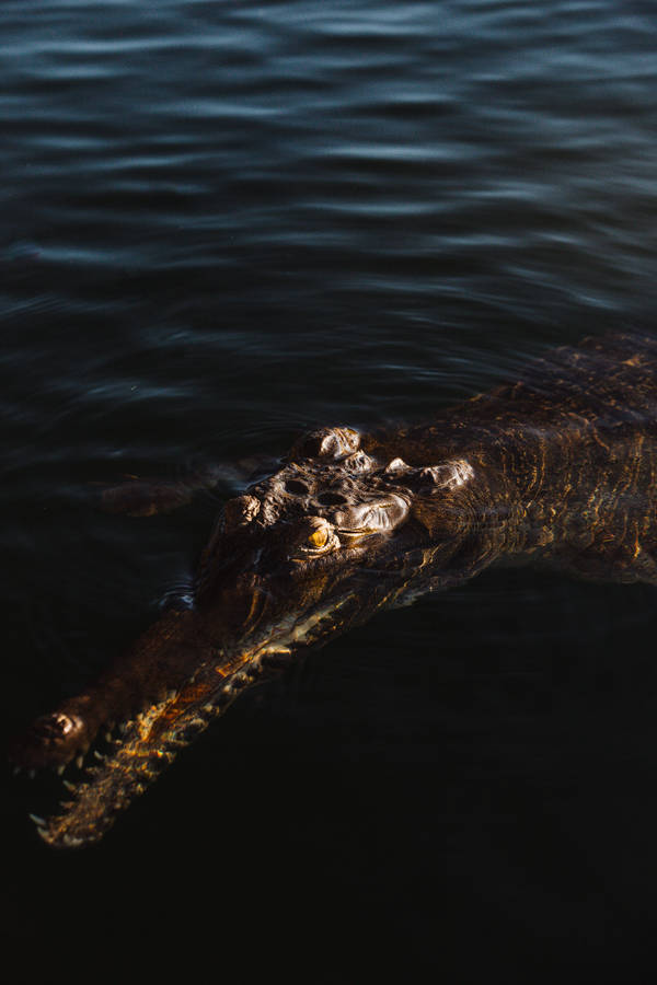 Dangerous Lightning Strikes Over Mountain Range Wallpaper
