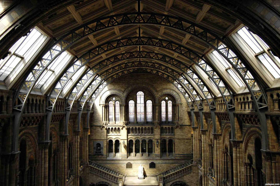 Dark Academia Museum Wallpaper