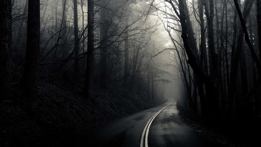 Dark Depressing Road In The Forest Wallpaper