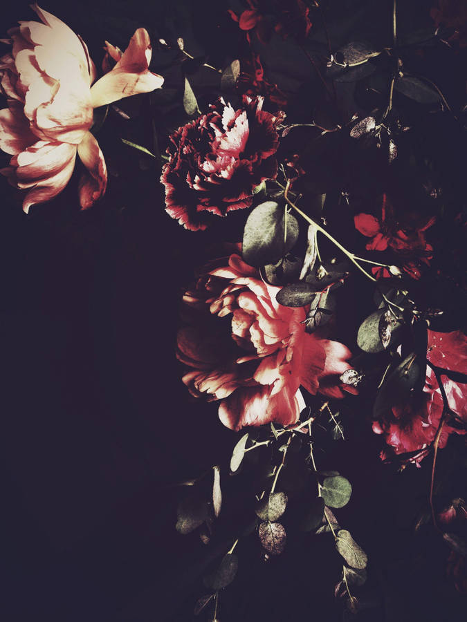 Dark Hd Flowers Vintage Aesthetic Wallpaper