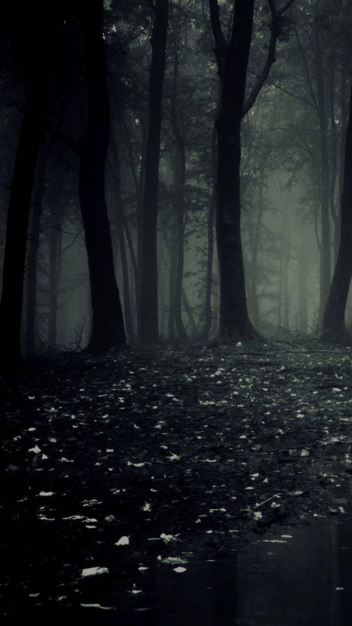 Dark Phone Scary Woods Wallpaper