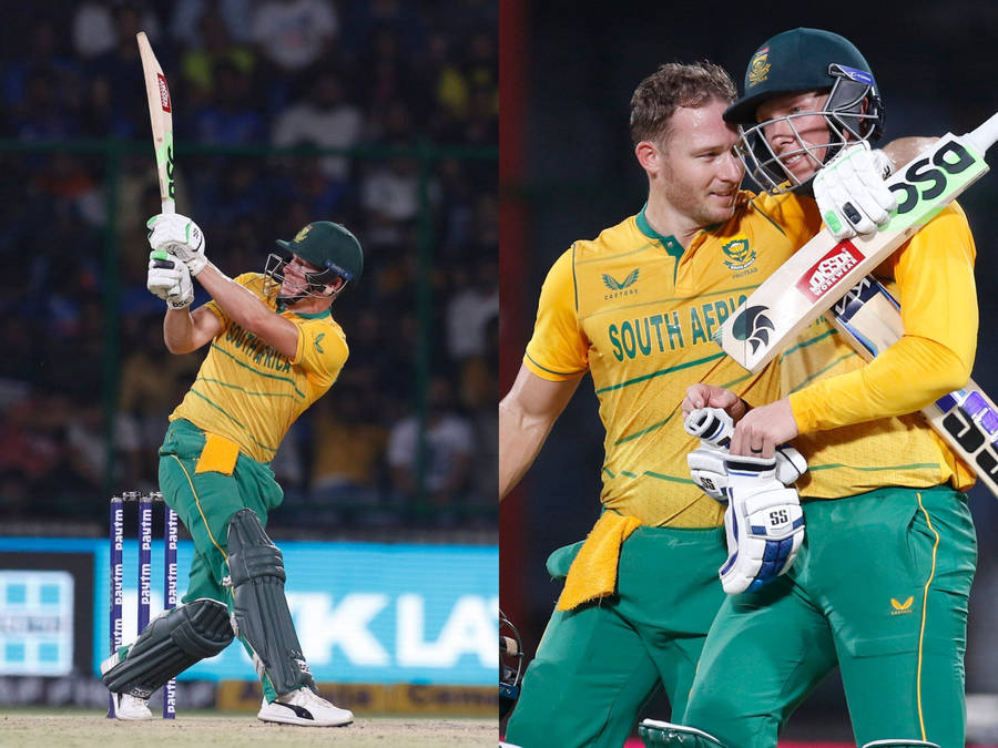 David Miller Collage Wallpaper