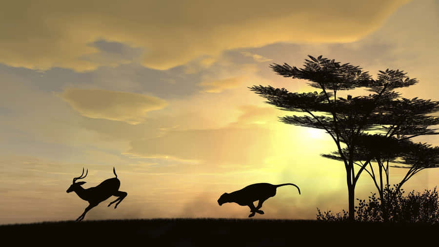 Deer Running In Africa Hd Wallpaper