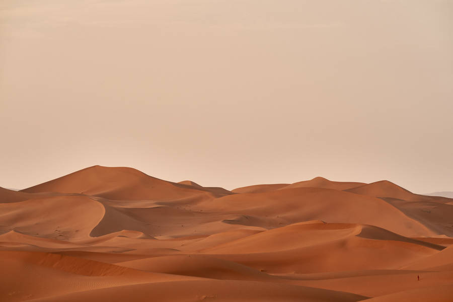 Desert Beige Aesthetic Desktop Wallpaper