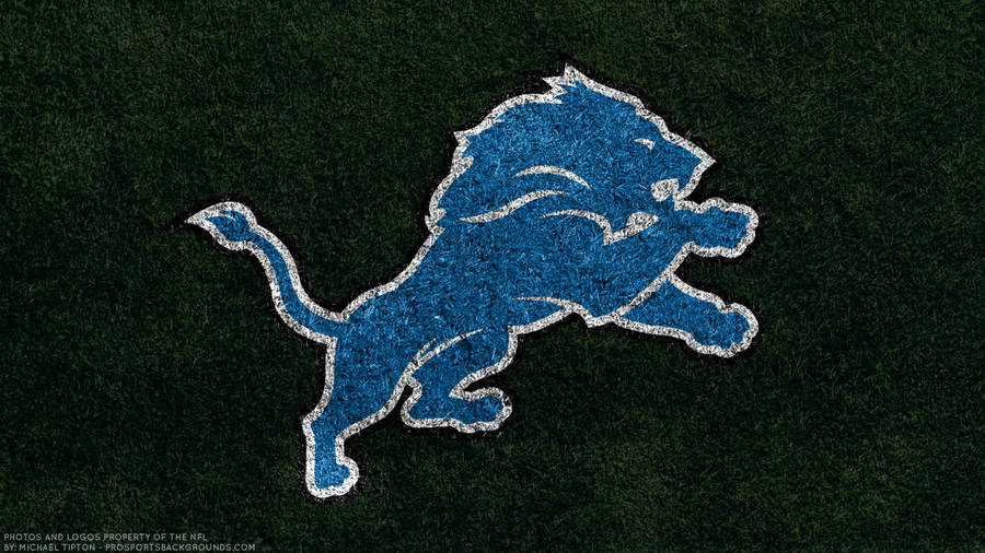 Detroit Lions Roaring In Battle Wallpaper