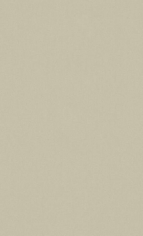 Dirty White Neutral Background Wallpaper