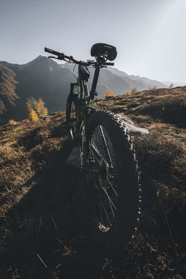 Discover The World Of Mountain Biking With An Iphone! Wallpaper
