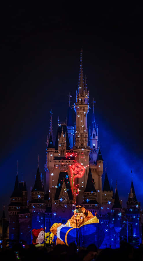 Disney World Happily Ever After Show Iphone Wallpaper