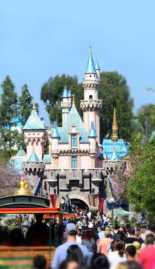 Disney World Tourists Crowd Iphone Wallpaper