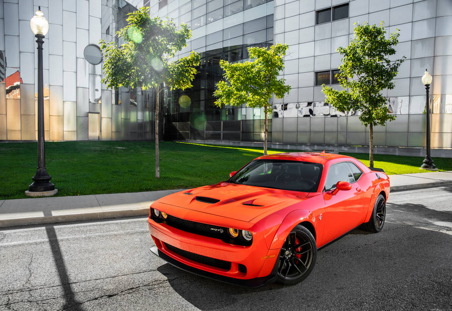 Dodge Challenger Go Mango Color Wallpaper