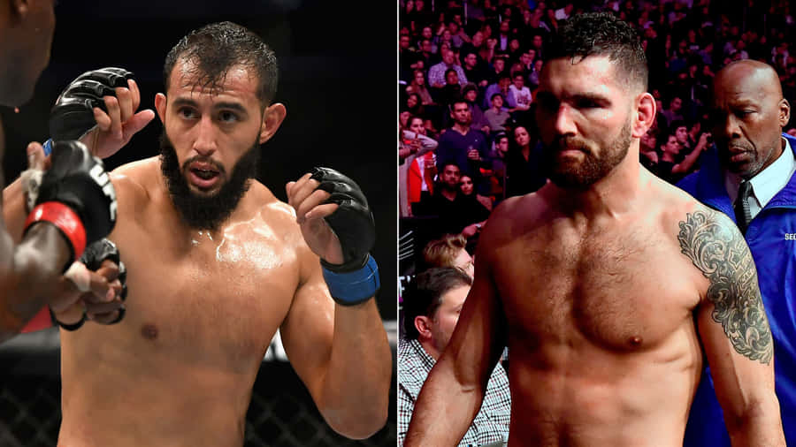 Dominick Reyes M M A Fight Preparation Wallpaper