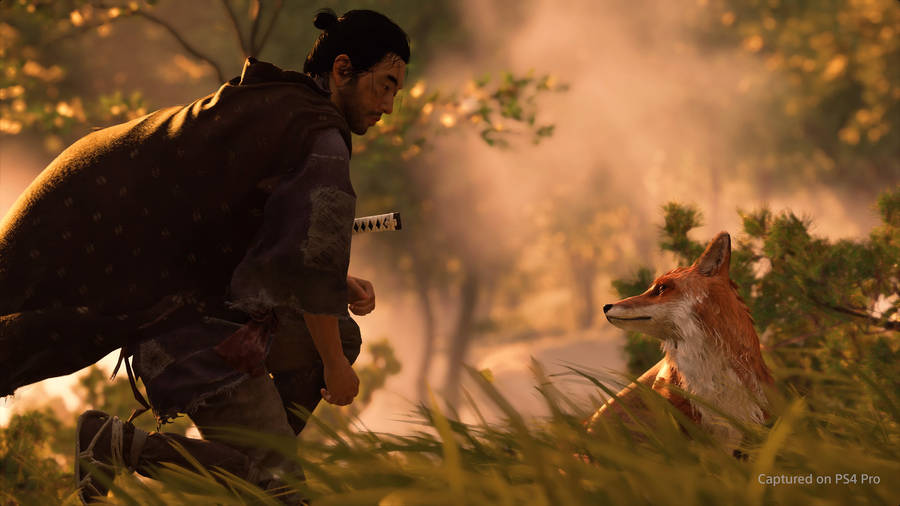 Download Ghost Of Tsushima Wallpaper Wallpaper