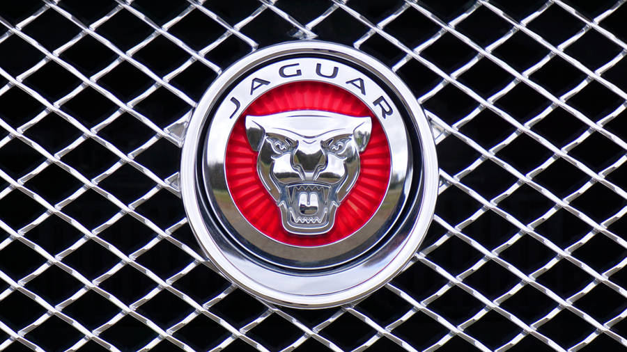 Download Jaguar Car Wallpaper Wallpaper
