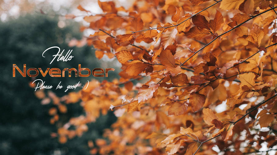 Download November Wallpaper Wallpaper