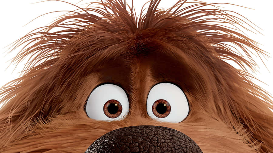 Duke, The Lovable Dog From The Secret Life Of Pets 2 Wallpaper
