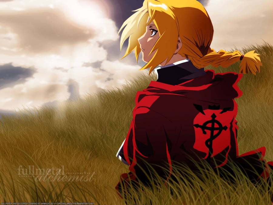 Edward Elric On A Grassy Field In The World Of Fullmetal Alchemist Wallpaper