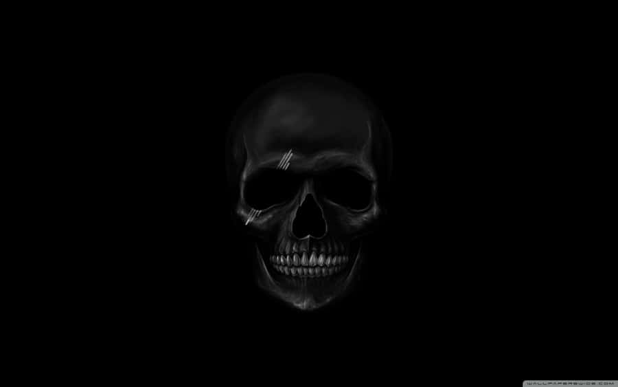 Elegant Skeleton Standing Out Against A Black Background Wallpaper