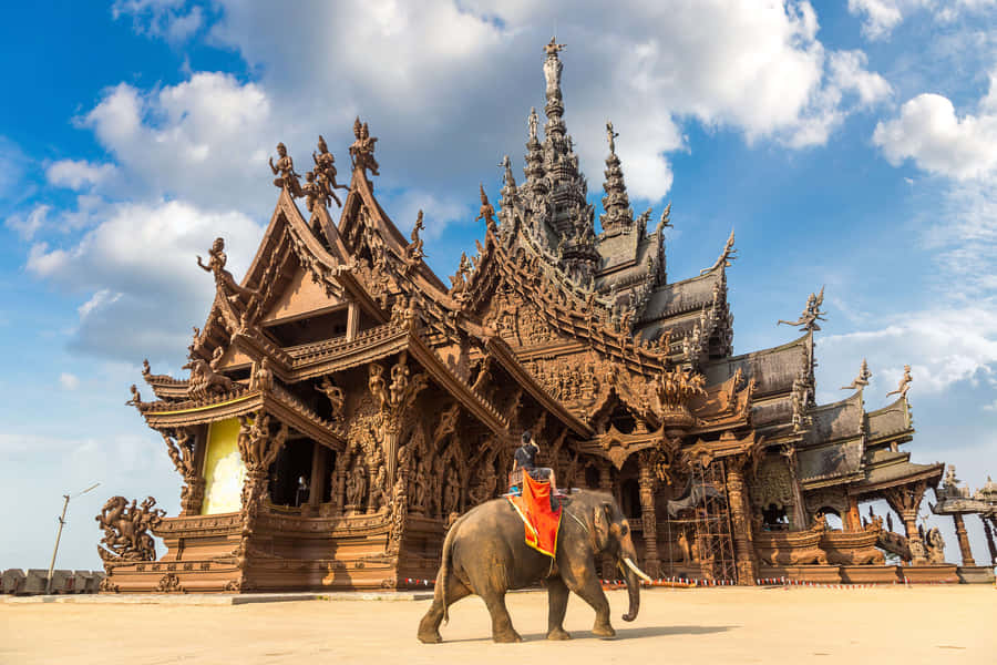 Elephant Walking Across The Sanctuary Of Truth Wallpaper