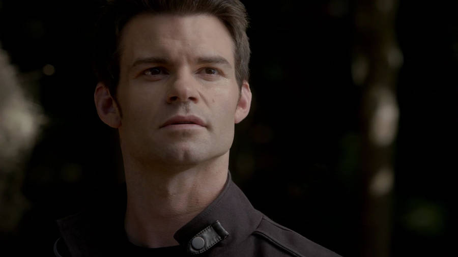 Elijah Mikaelson The Vampire Diaries Wallpaper