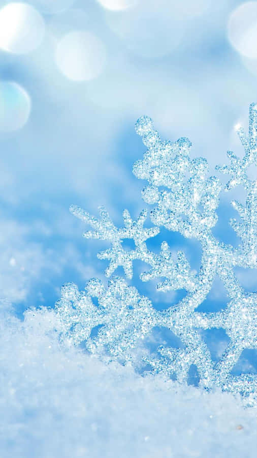 Embrace The Beauty Of Winter. Wallpaper