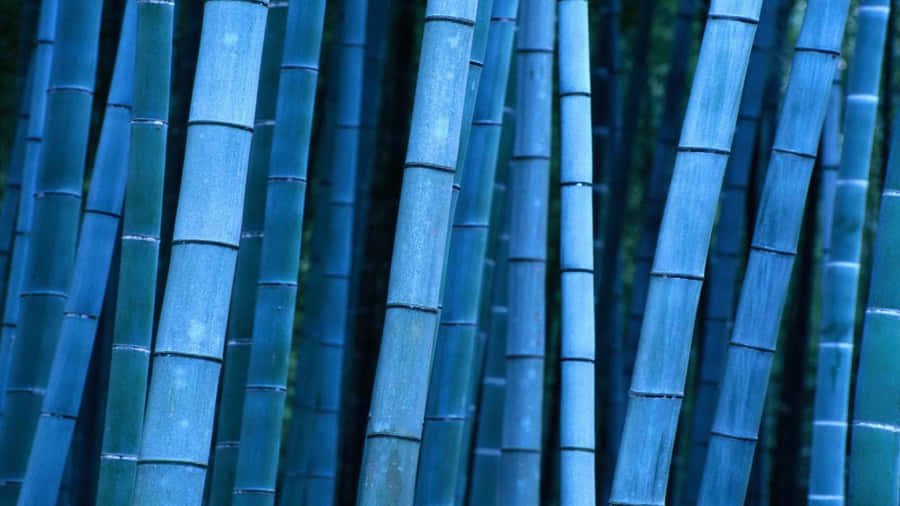 Embrace Zen With A Bamboo Desktop Wallpaper