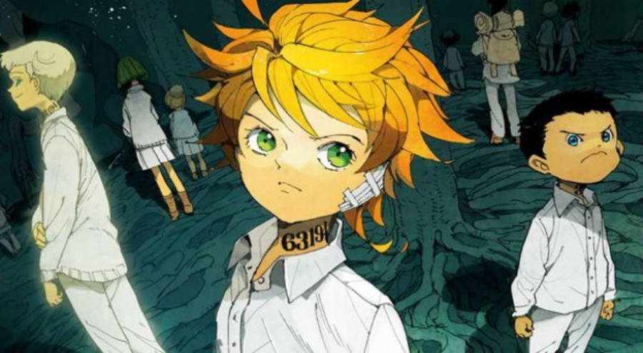 Emma Of The Promised Neverland Wallpaper