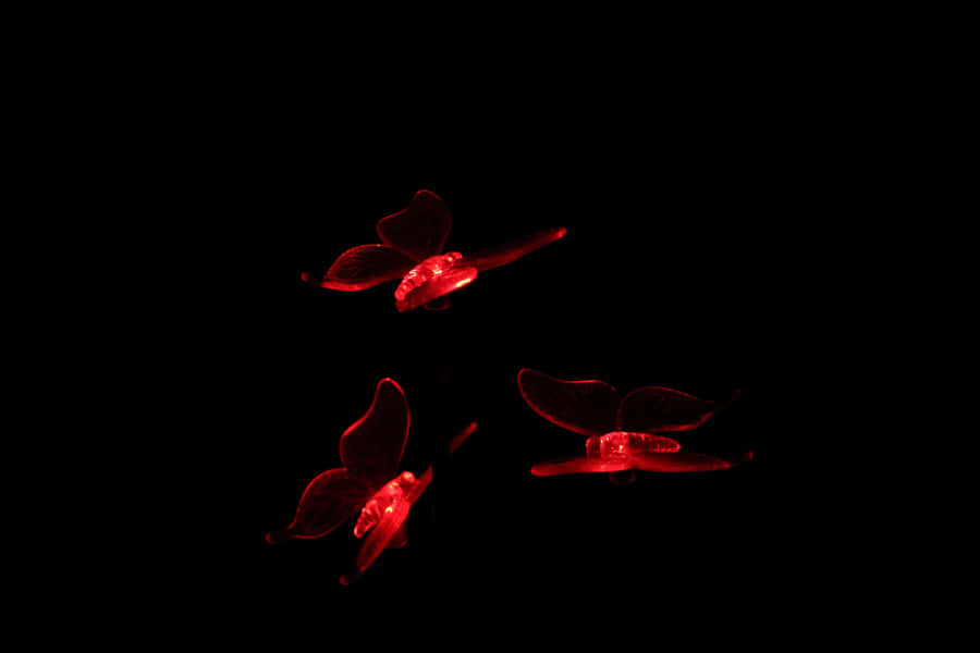 Enchanting Dark Butterfly On A Delicate Branch Wallpaper