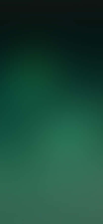 Enchanting Emerald Green Forest Wallpaper