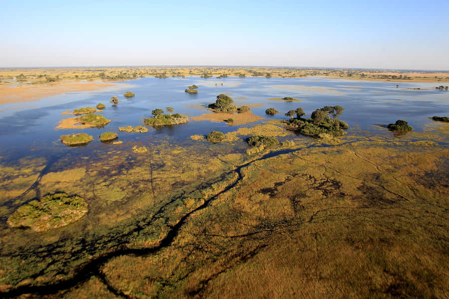 Enchanting Wilderness Of Okavango Delta Wallpaper