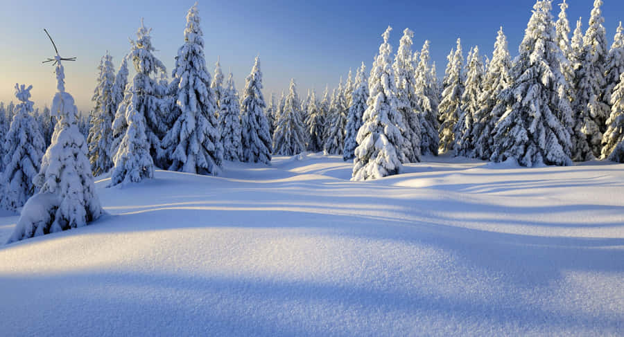 Enchanting Winter Wonderland Wallpaper
