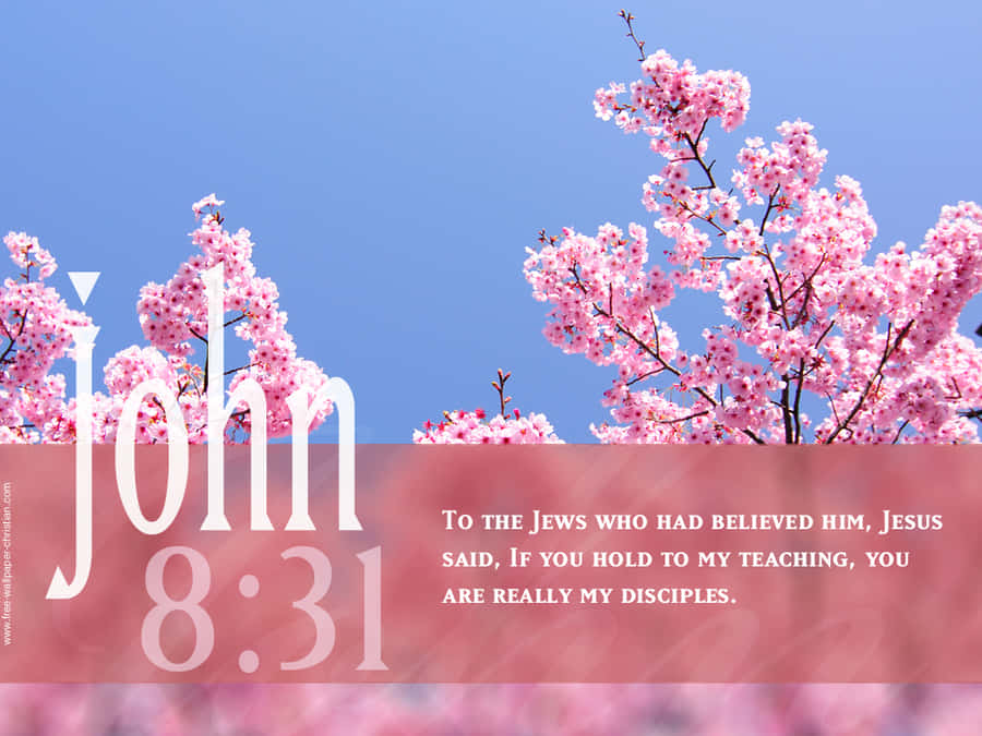 Encourage Yourself With God's Word Wallpaper
