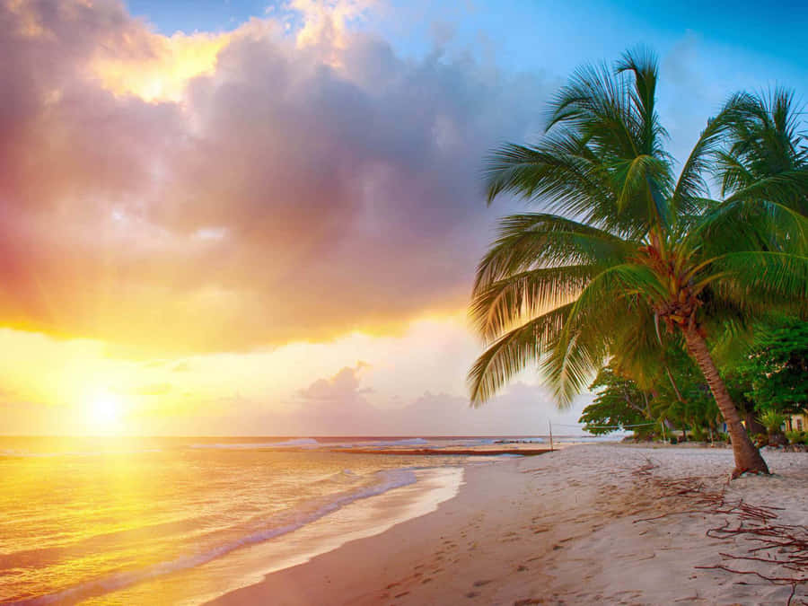 Enjoy A Day Of Paradise With A Caribbean Beach View. Wallpaper